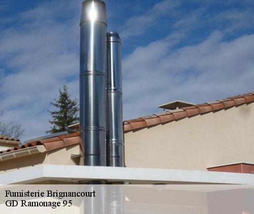 Fumisterie  brignancourt-95640 GD Ramonage 95