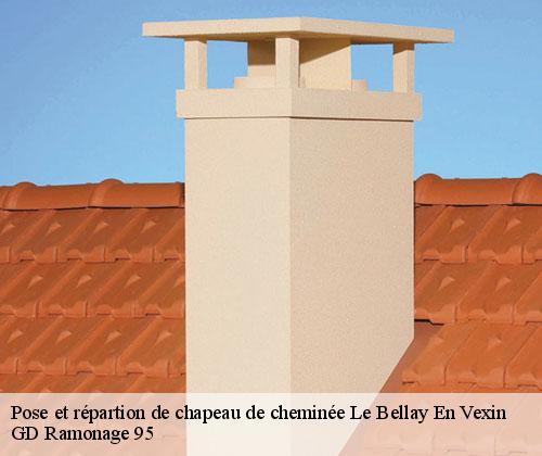 Pose et répartion de chapeau de cheminée  le-bellay-en-vexin-95750 GD Ramonage 95